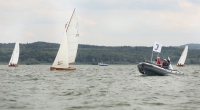 2013AMMERSEE044