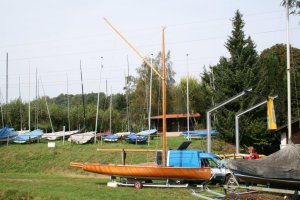 J 440 - PIPISTRELLO